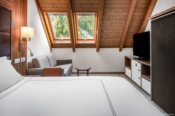 Hotel AC Baqueira Ski Resort Autograph Collection